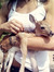 jess ⋆.  ̊
