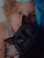 Abby