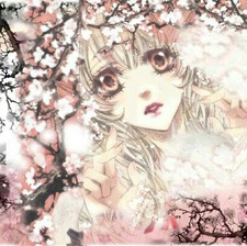 Grace Lily Alexander