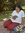 Swathi