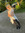 Adelia H | 3 comments