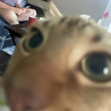 J W