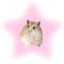 jemma⋆౨ৎ˚⟡˖ ࣪