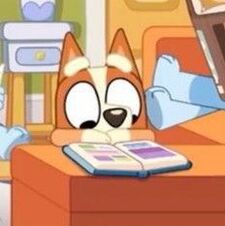 sea urchin &#x1f30a; 