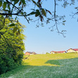 Džia ☾
