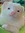 Ferret Hours