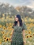 Stephania