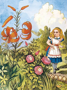 Elizabeth Jane