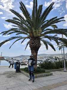 Мирослава Емилова