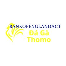 Đá Gà Trực Tiếp Thomo  