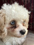 Norah H...
