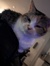 Jacky