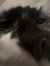 Ziggy R...