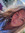 Courtney Genovese