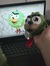 Jay