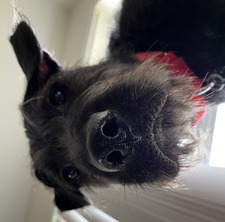 CMM