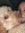 Emily W...