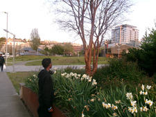 Derek Wright-Deputie