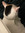 member photo member photo
