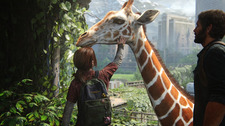 Isabel 🦒🌿