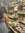 Nicole | 4 comments