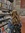 Greta Busold (gretamaya) | 5 comments
