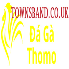 Đá Gà Trực Tiếp  Thomo