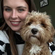 belle ੈ✩‧₊˚ 