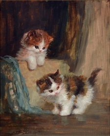 Cassidy