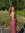 Georgina Hopwood