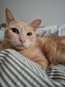 Rita