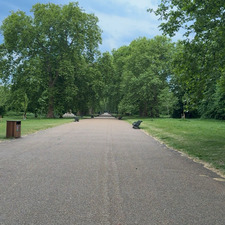 عبدالملك الحامد