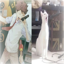 moony👑✒️🗡️