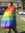 Taylor Jestus | 5 comments