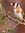Carduelis
