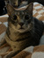 katie622