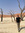 Sait Erucar | 1 comments