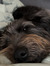 Maddy E...