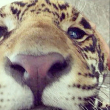 ⋆｡°✩grace✩°｡⋆