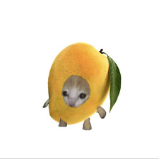 mangoz