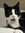 Cat Gracie