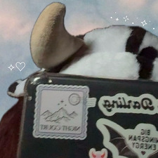 Flan♥︎ ⊹₊⋆