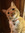 member photo member photo
