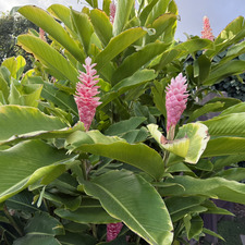 &#x1faa9;&#x1f49e;✨&#x1fae7;☕️&#x1f41e;