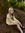 Lillyann B (lillyannb_)
