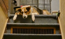 Kassandra R Hernblom