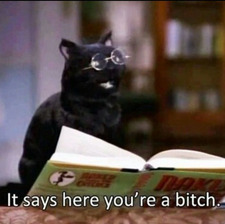 ⭒☽✶bookfae✶☾⭒