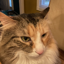 Helen