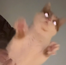 Ro