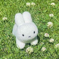 ⋆ ˚｡⋆୨୧˚Freja🌱‎♡‧₊˚